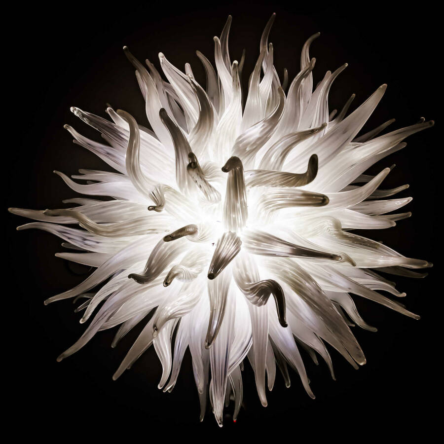 2022-03-10 - PhilClarkin-5252 (1)